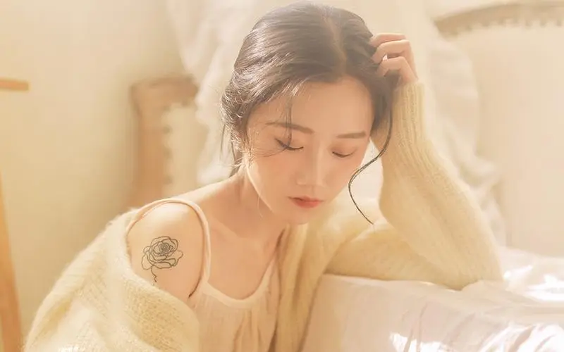 银河英雄传说,导演剪辑版,在线观看免费,BD
