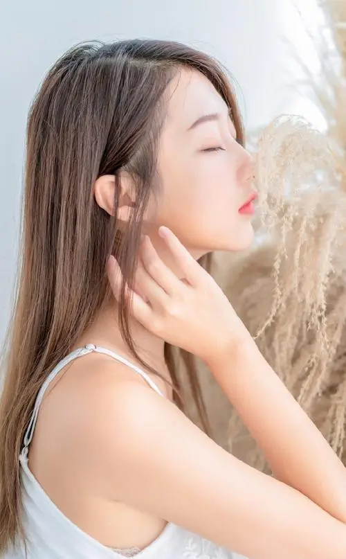我妈妈的男朋友,HD,简中字幕,免费观看全集