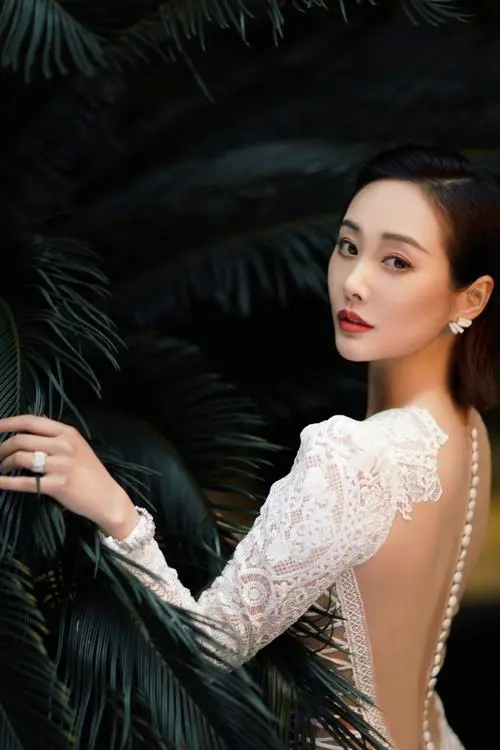 a在线看,86全集,高码率收藏版在线免VIP播放